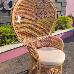 PHOTO-2023-11-28-14-11-56-2