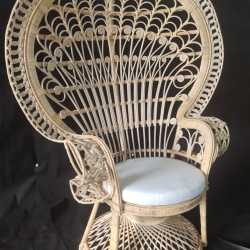 PHOTO-2023-11-28-14-11-57-3