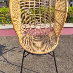 PHOTO-2023-11-28-14-11-57