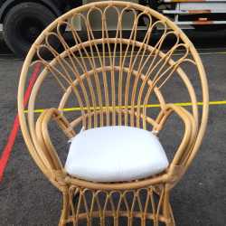 PHOTO-2023-11-28-14-12-00-2